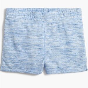 J. Crew Space-Dyed Shorts Large